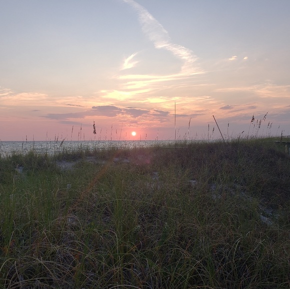 Meet your Posher, Dustin - Picture 1 of 1